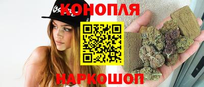 шишки Будённовск