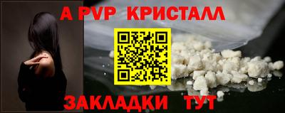 шишки Будённовск