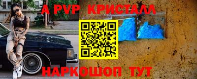 шишки Будённовск