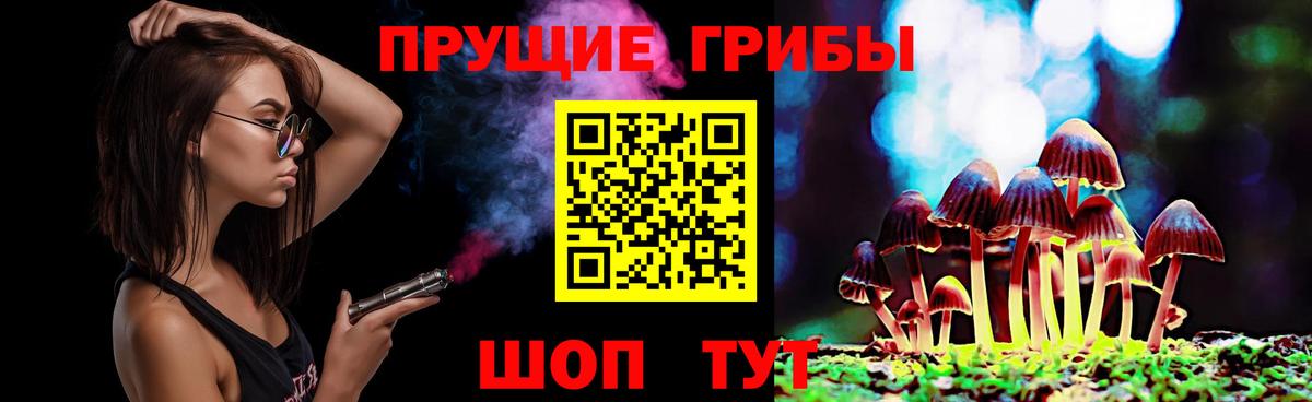 Галлюциногенные грибы мицелий  Вход с VPN  где купить наркоту  Сертолово  Галлюциногенные грибы мухоморы 