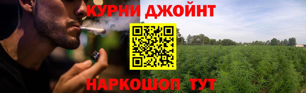 Сертолово  Бошки Шишки White Widow  Бошки Шишки THC 21%  Канабис тримм  Марихуана марихуана  Вход с VPN 
